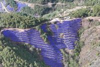 Risen Energy Raih Pesanan Modul HJT 1,2 GW dari China Huaneng Group, Semakin Memperkuat Posisinya sebagai Pemimpin Industri