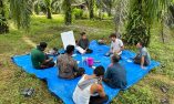 Musim Mas Rampungkan Program Lima Tahun untuk Petani Swadaya di Aceh, Perkuat Mata Pencaharian Petani Sawit dan Pelestarian Lingkungan
